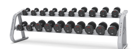 10 Pair Dummble Rack