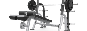 Olmpiya Decline Bench