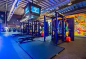 Gymnation Men's Squat Area